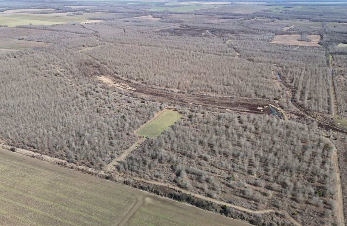 DJI_20260208030602_0976_D