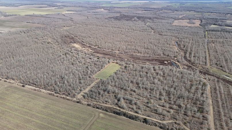 DJI_20260208030602_0976_D