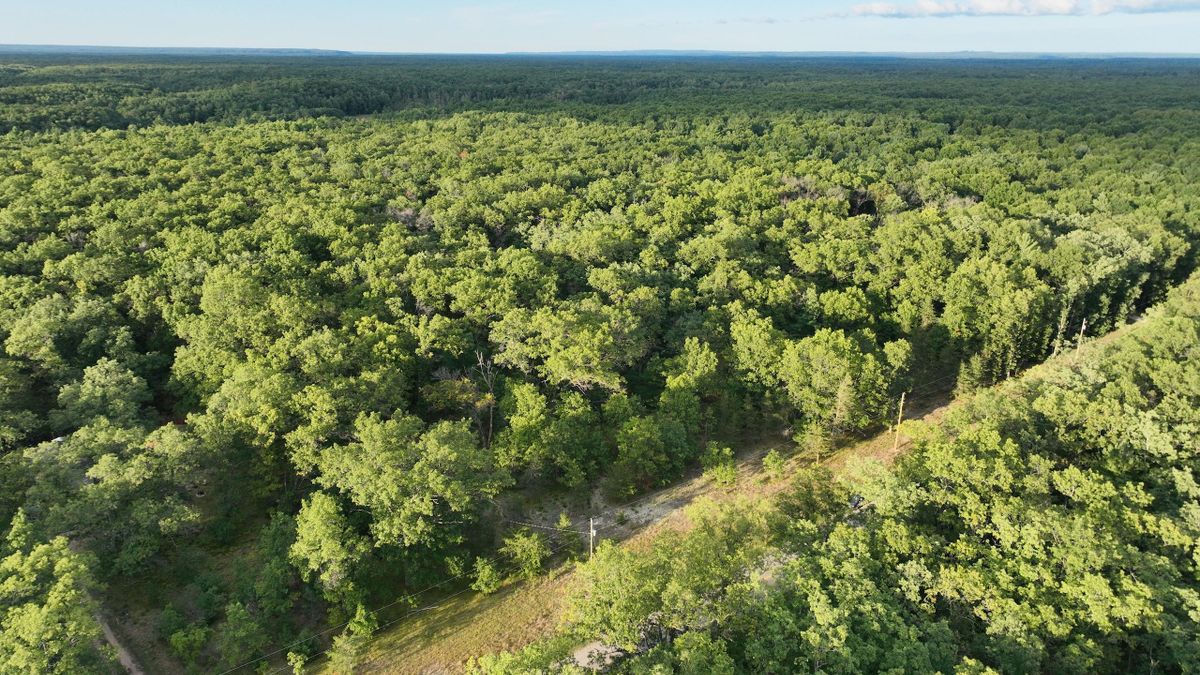 Buildable Wooded Acreage Near Irons, Michigan Whitetail Properties