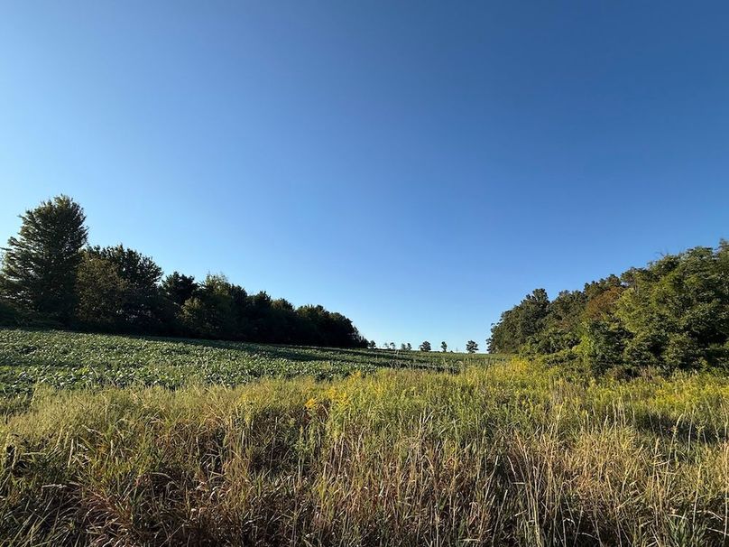 Copy of Wood Tract 4 Photo 16