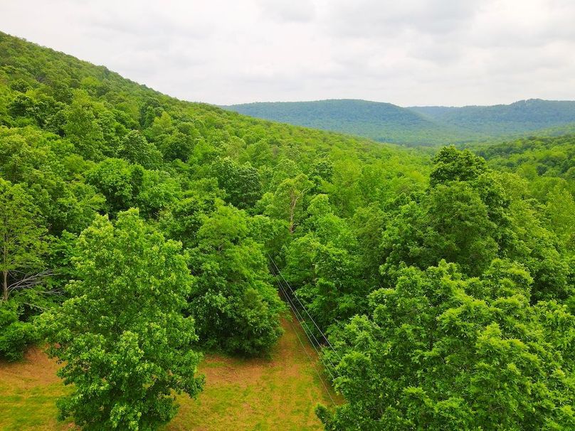 DJI_0330