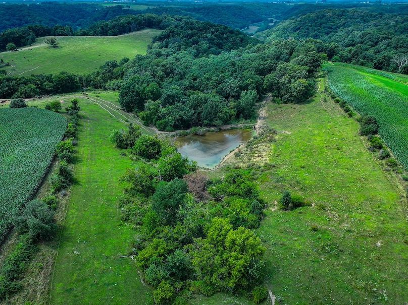 New Albin 8_8 edits-25