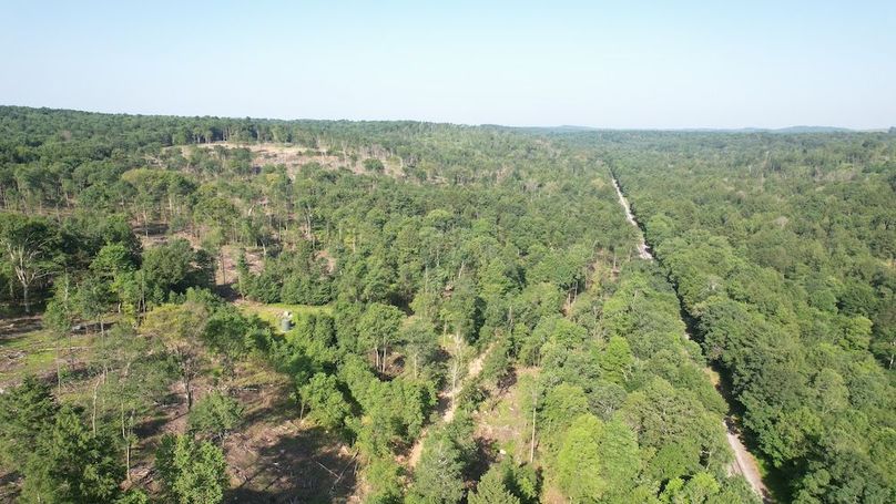 dji_fly_20250624_085632_330_1750770265380_photo