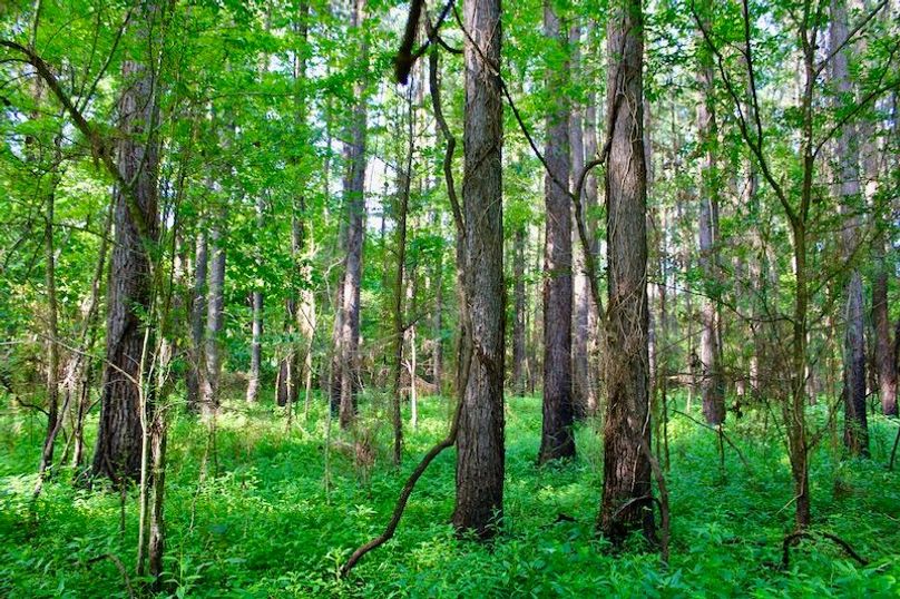 4AC12DDB-28AA-48E4-972E-82DCABC42B74_1_201_a