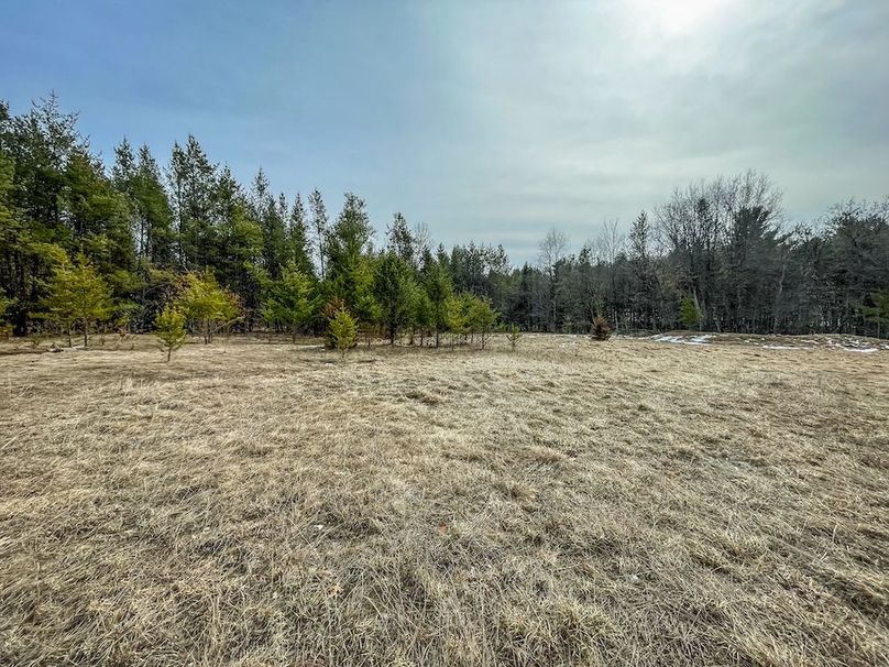 Adams 10.06 Johnson-27