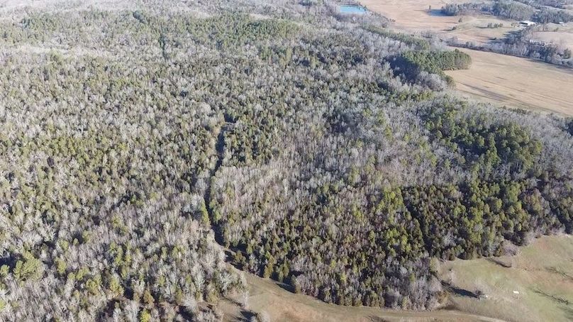 2024-02-06-09-04-07-108