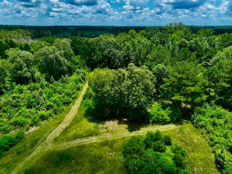 A6F9BBAF-03F7-4888-BBED-172EFAE458B2_1_201_a