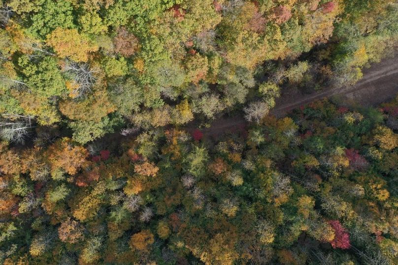 017 cool straight down shot from the drone