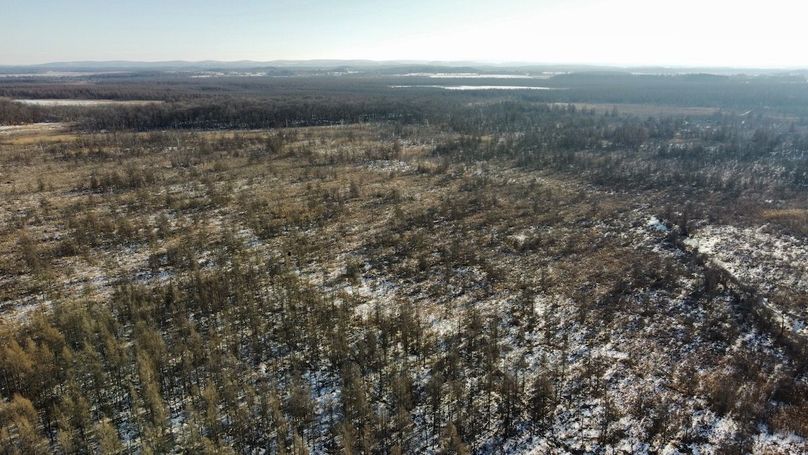 dji_fly_20240131_144758_906_1706897211518_photo_optimized