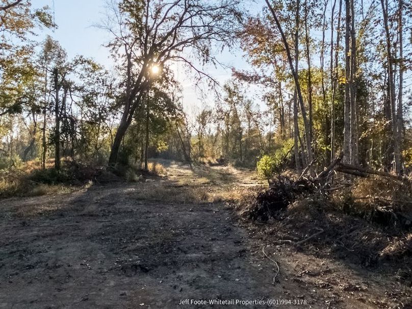 Claiborne Co-151-Geronimo-46