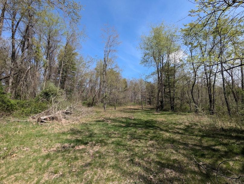 PXL_20250422_165408170