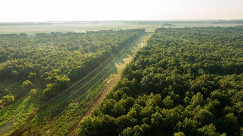 MadisonParLa1372-088