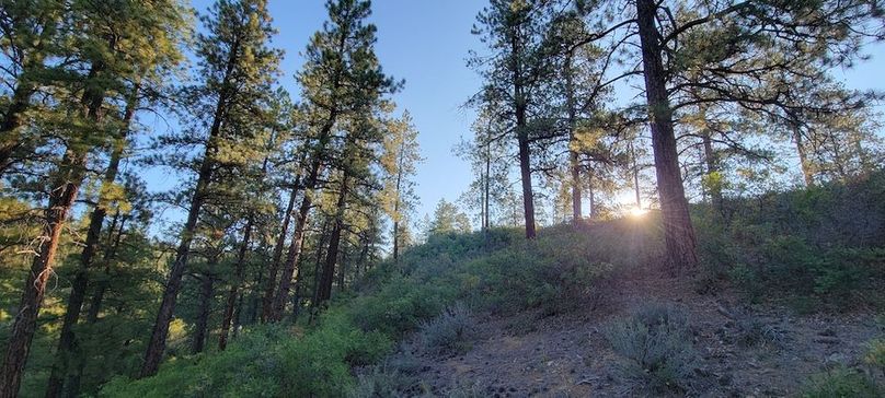 Copy of 20210827_074912