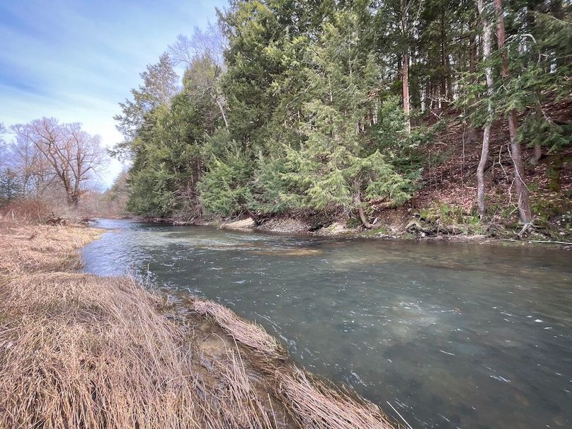 Tioga__NY_109.7_Burris_Photos_19