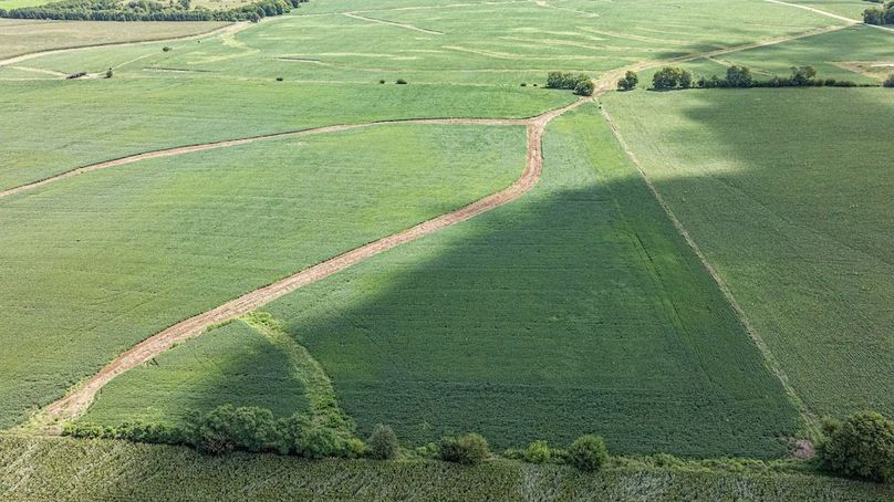 DeKalb Farm for marketing full res-64