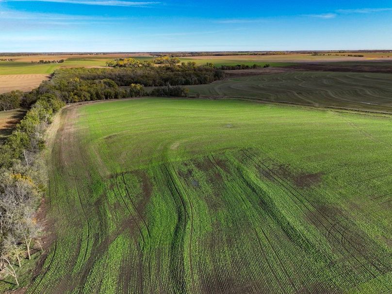 Dickinson Co, 154.5_022