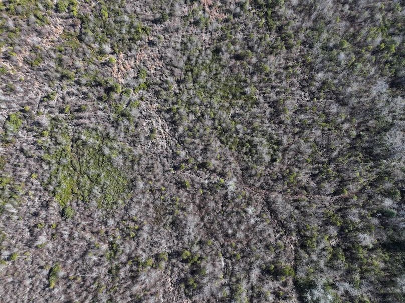 dji_fly_20251223_124758_0172_1767546783929_photo