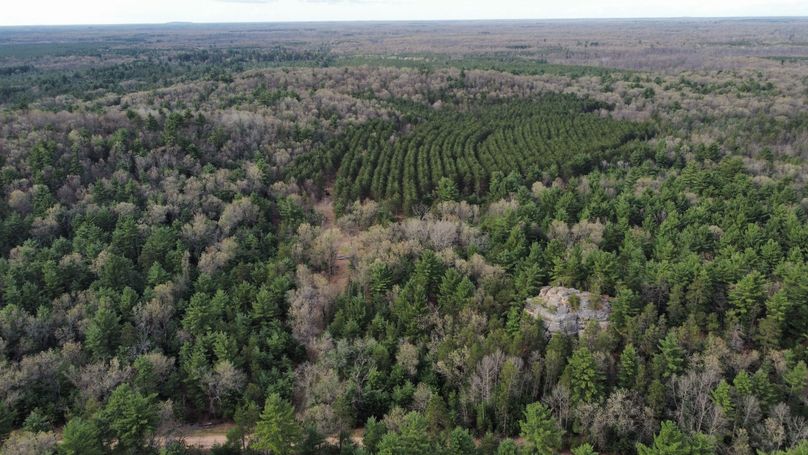 dji_fly_20230509_171624_402_1683724351945_photo_optimized