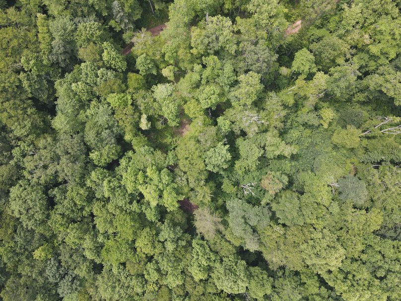 Swain 39 Tysinger-34