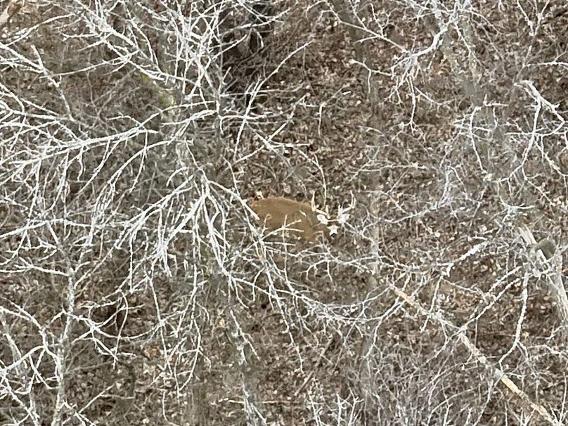 C388CC27-7696-4503-BE3F-7AD667D31015_1_201_a