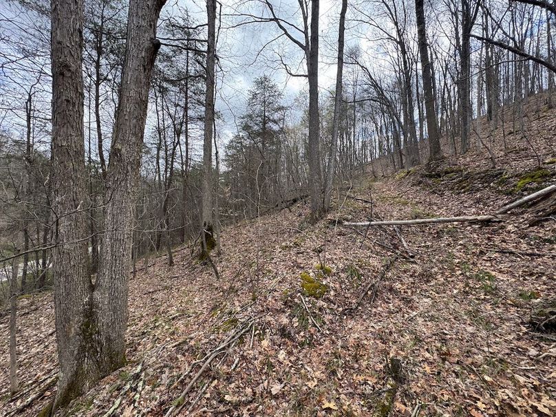 Wirt, WV 62.5 AC Full-08