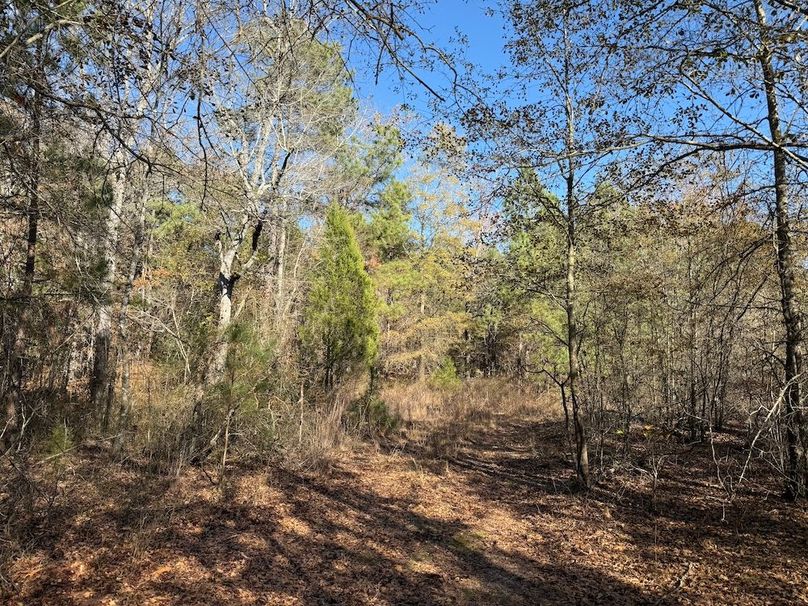 11 - perimeter trail