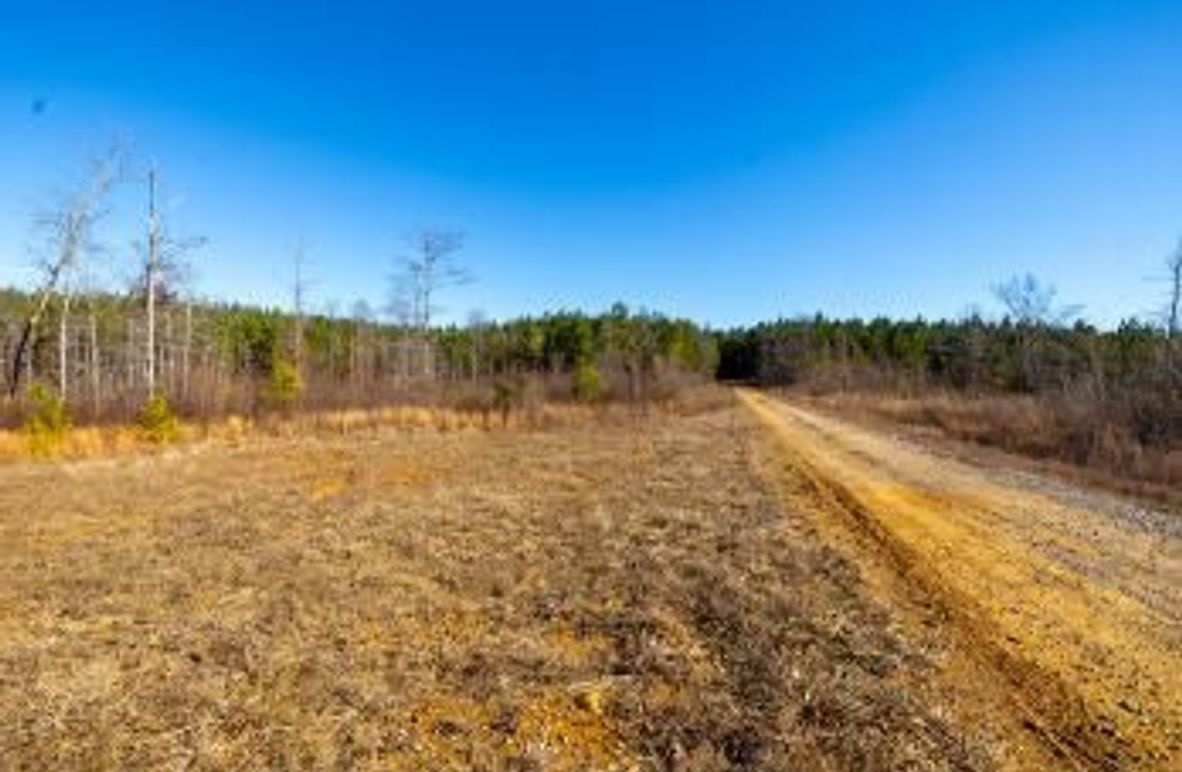 MCKINNON TRACT 15-05