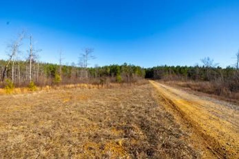 MCKINNON TRACT 15-05