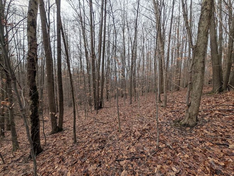 PXL_20260107_180741304