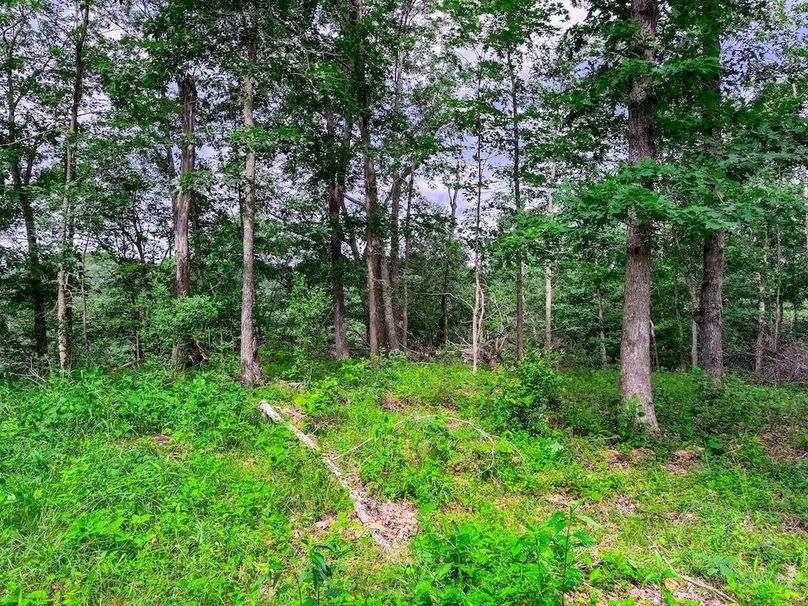 Wirt, WV 137.45 AC Full-31