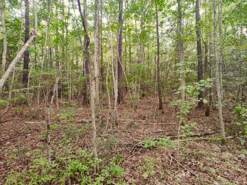 IMG_20250914_171000472