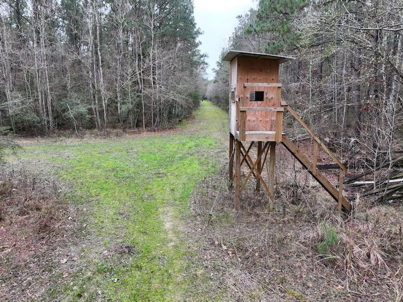 dji_fly_20260123_112528_0915_1769444787220_photo