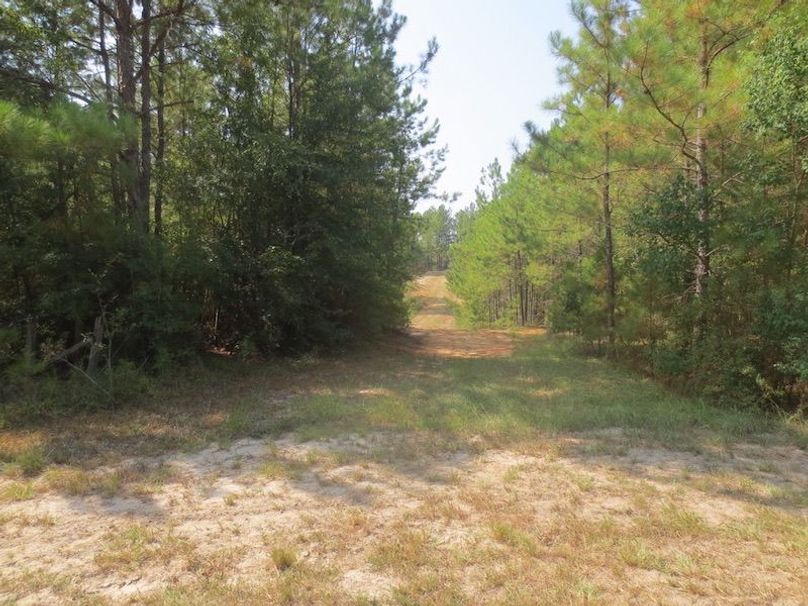 9A7087B6-6AC7-4D0E-B500-30E8B8685E82_1_105_c