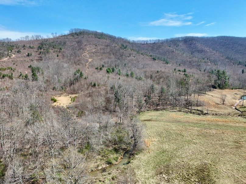 Morgan Co TN 310.833 Schneller_94