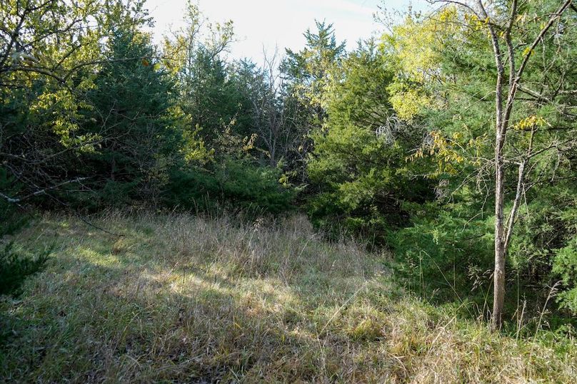 Dickinson Co, 154.5_056