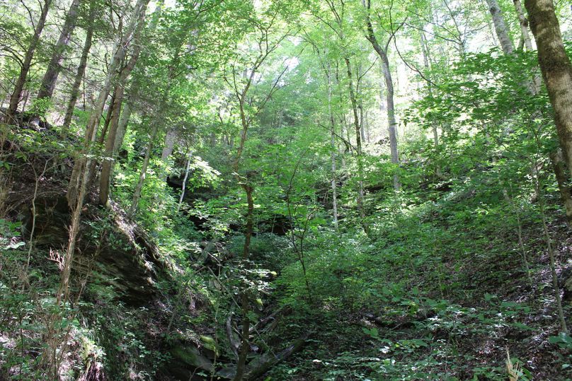 003 look closely and you can see the rock cliff overhangs