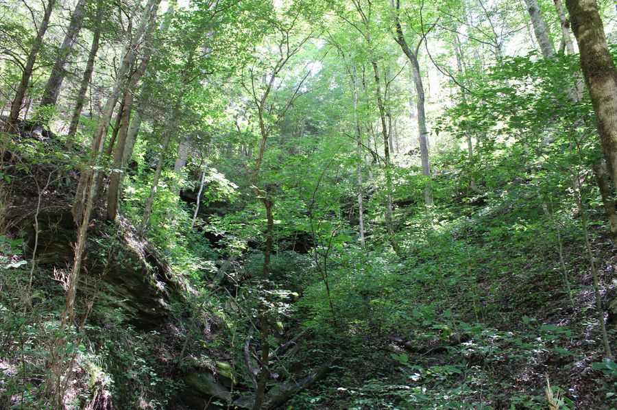 003 look closely and you can see the rock cliff overhangs