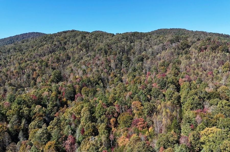 dji_fly_20241021_131252_0110_1729545269808_photo