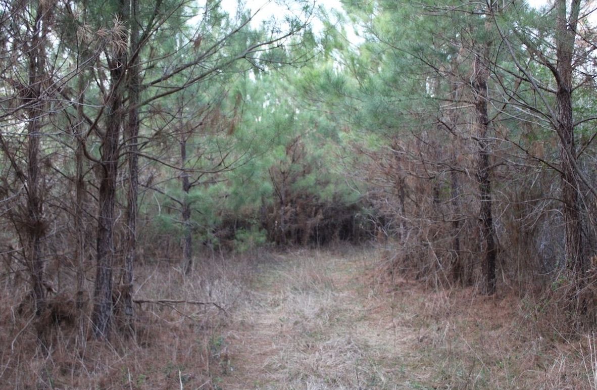 3AC3CBED-3F60-4C39-BD51-415B260FF6F1_1_105_c