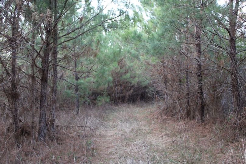 3AC3CBED-3F60-4C39-BD51-415B260FF6F1_1_105_c