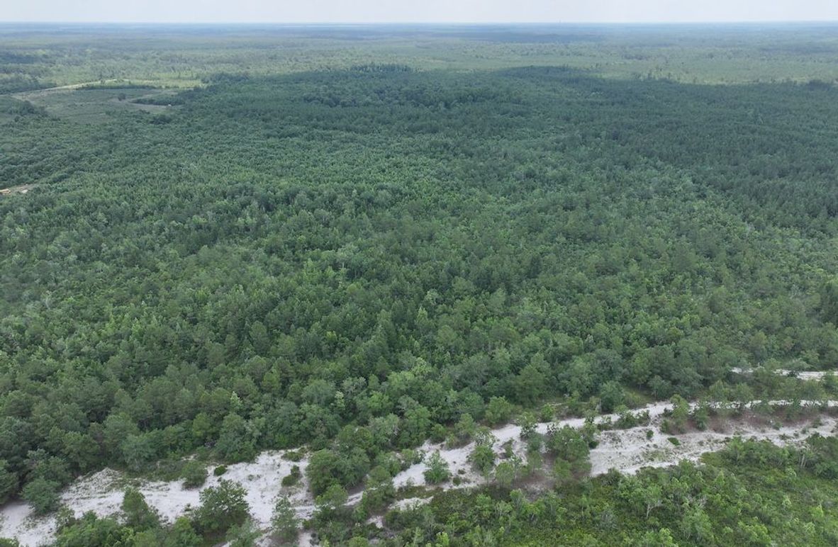 DJI_20250627124033_0158_D