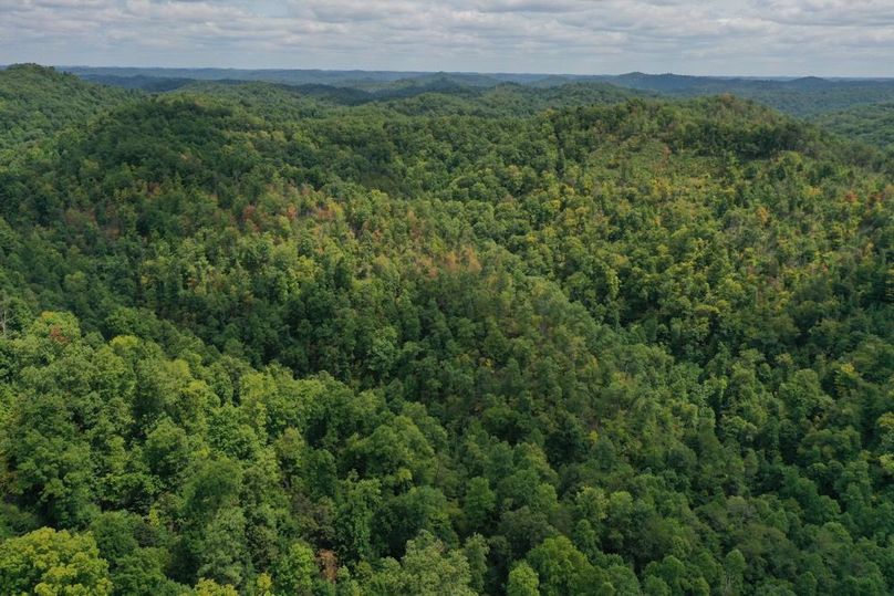 008 aerial drone shot from the west boundary looking east