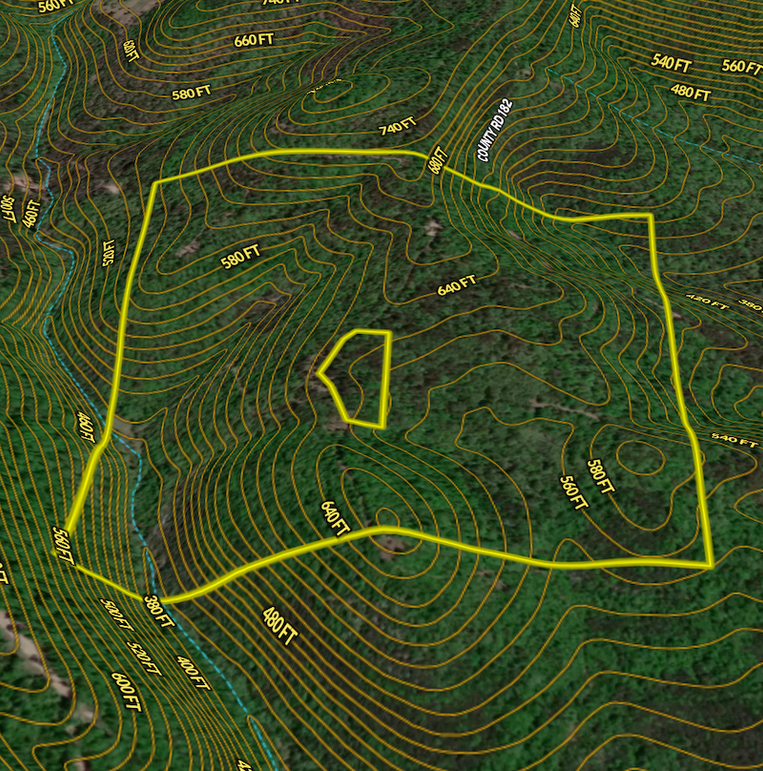 Screen Shot 2024-03-20 at 12.31.51 PM