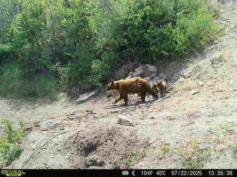 860516063676799-100-3-07222025133536-V-W1010390