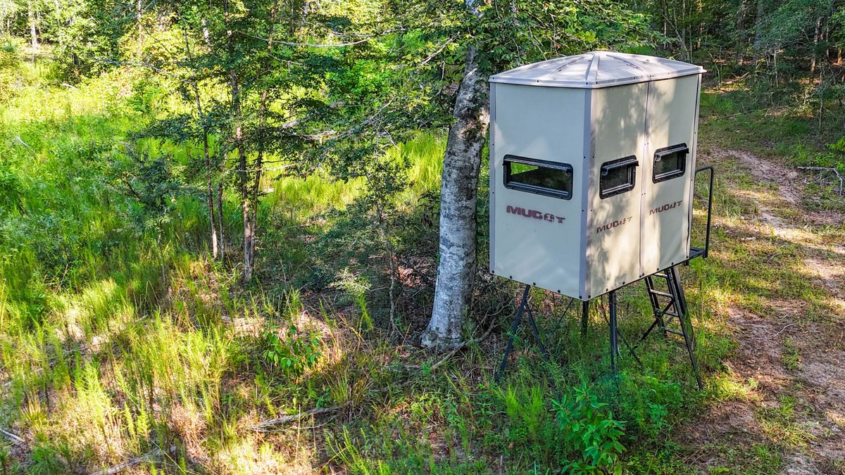 Turkey Ridge Ranch - 107 ac Newton County | Whitetail Properties