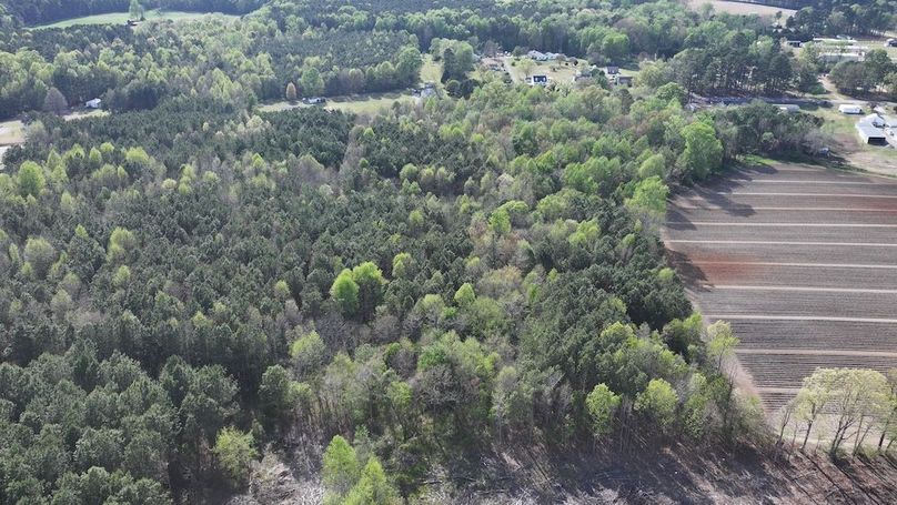 dji_fly_20260330_090736_0564_1774989422846_photo