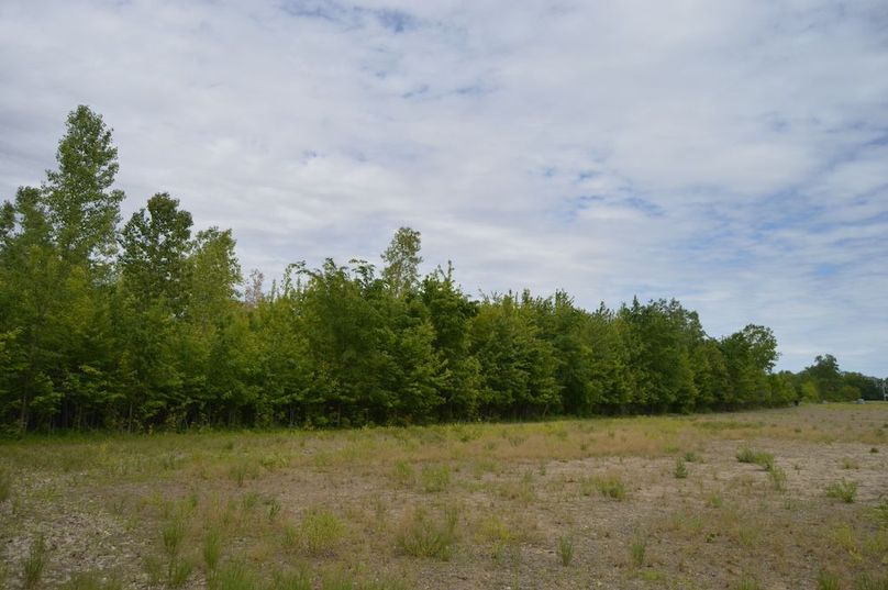West edge of small woods