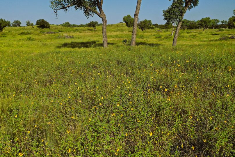 DJI_0080-Steves-Laptop