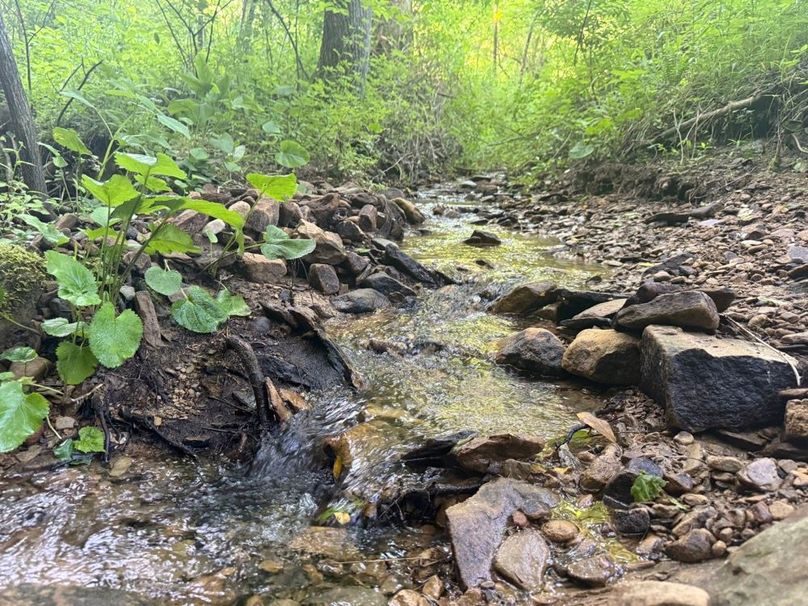 013 the intermittent stream where it joins the blue line stream near the old homestead-2