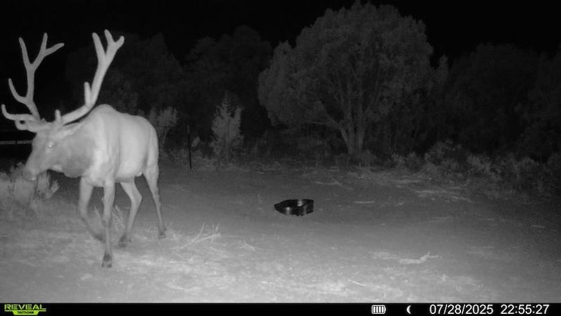 016578004060205-100-2-07282025225527-V-SYFW00311